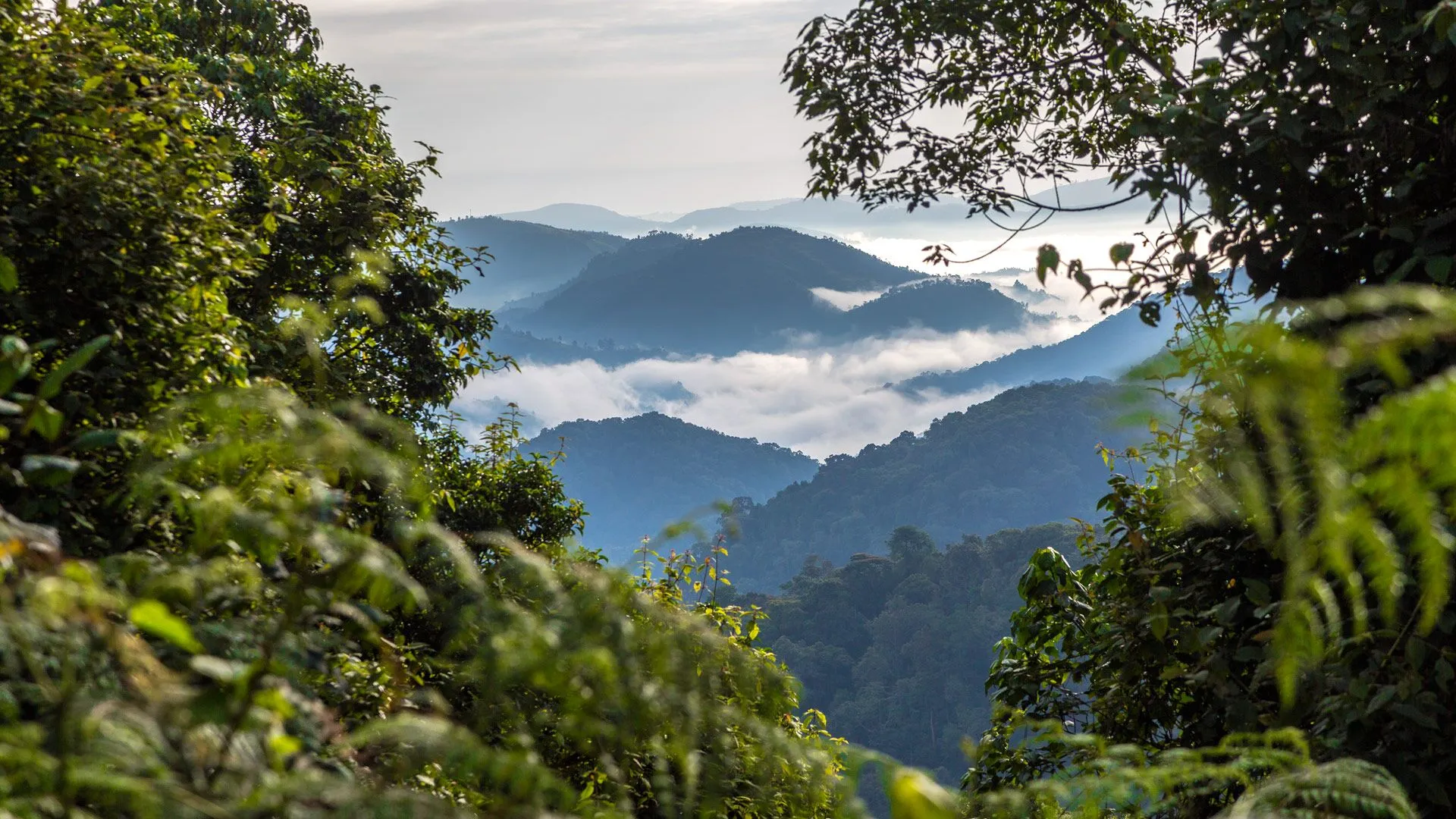 Africa’s Hidden Gems: Why the Most Unforgettable Experiences Are Off the Beaten Path