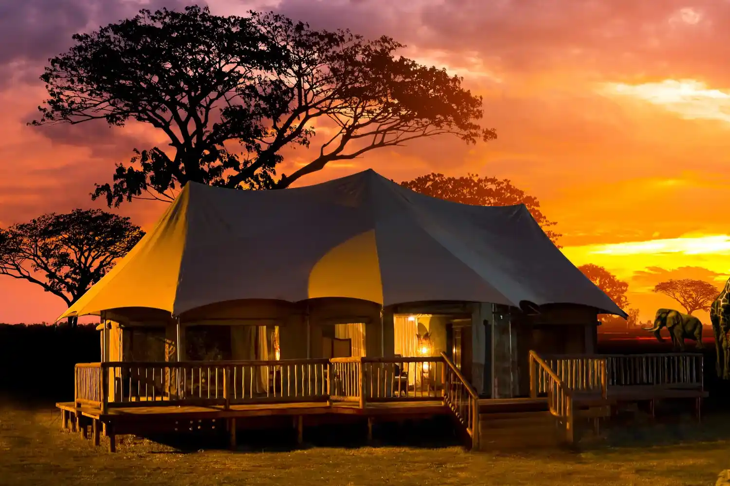The New Luxury: Why Modern Travelers Are Choosing Bespoke Safaris Over 5-Star Hotels